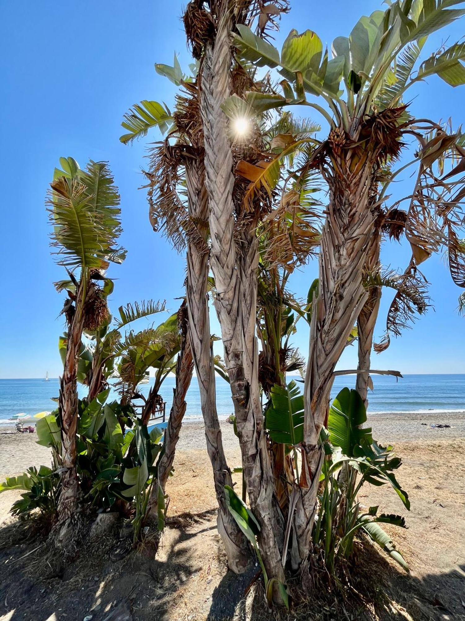 Apartamento De Playa Reformado Rincón de la Victoria Exteriér fotografie